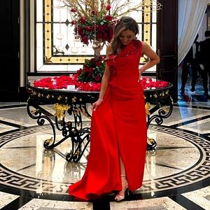 Classy and elegant Terani Evening Gown